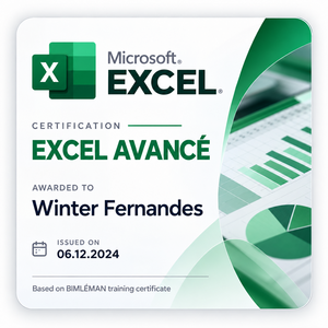 EXCEL AVANCÉ — BIMLEMAN — École de la construction digitale